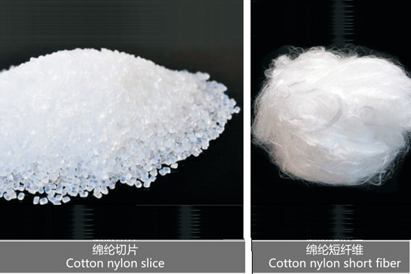 德潤(rùn)參加展會(huì)現(xiàn)場(chǎng)一覽